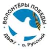 Волонтёры Победы ДВФУ