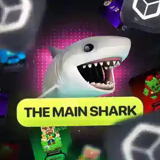 The Main Shark | VOXEL