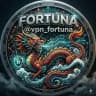 VPN FORTUNA