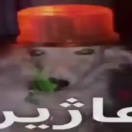 ستاد مبارزه با فساد ویپیان