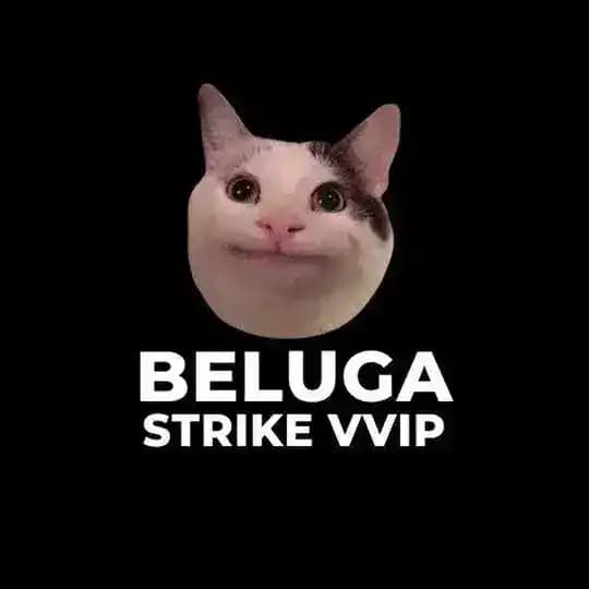 BELUGA STRIKE OFFICIAL VVIP Profile
