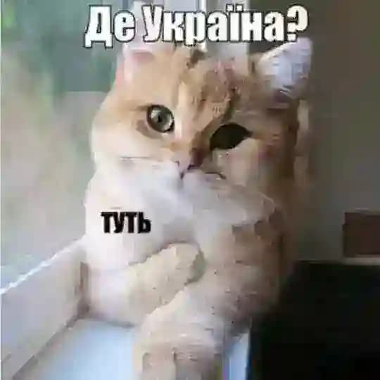 Всратість головного мозку #УкрТґ Profile