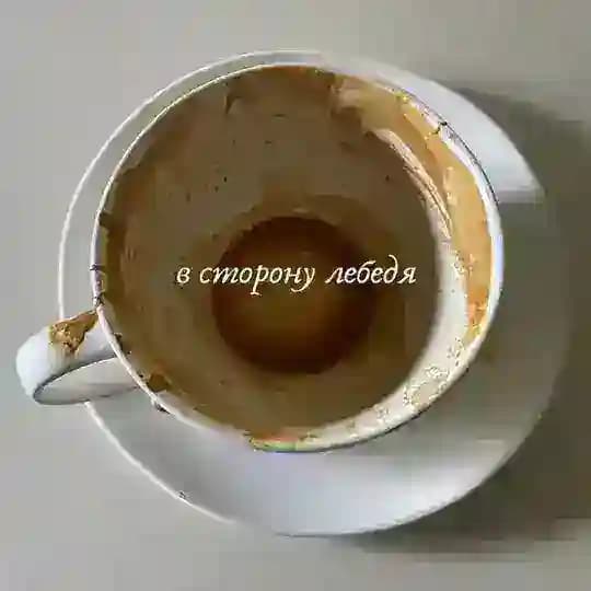 в сторону лебедя