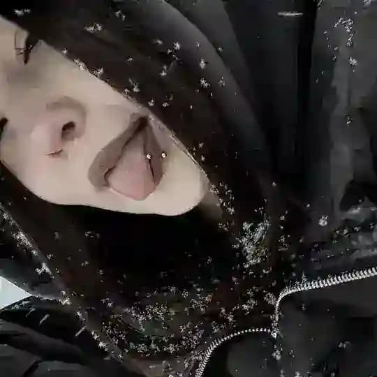 точка запятая