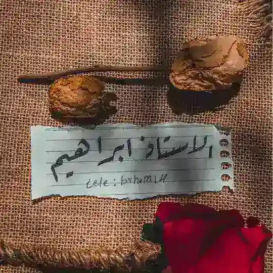 رشق متابعين انستكرام | رشق متابعين تيك توك | دعم حقيقي