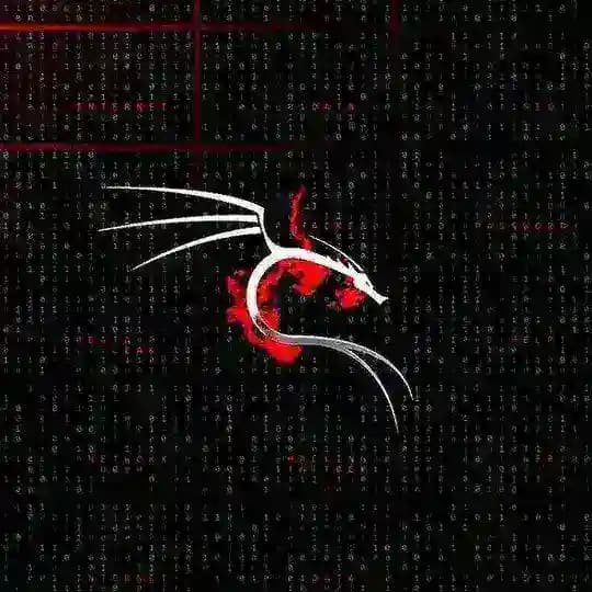. جلد النصابين برعايه بورش .