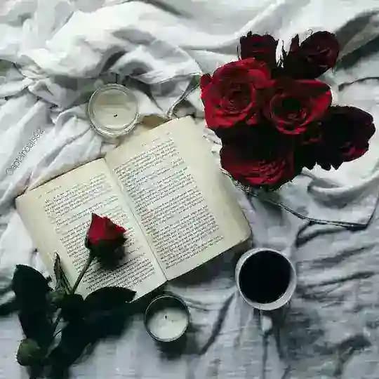 اقتباسات انجليزي مترجمة ❤️