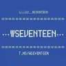 (｡•̀ᴗ-)✧! SEVENTEEN. CEK PINNED!