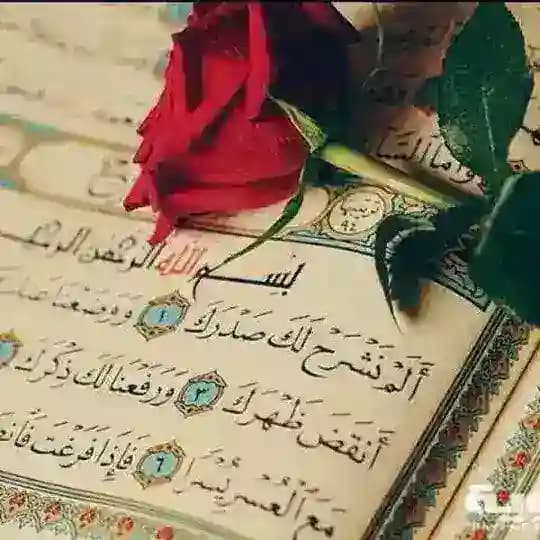 أَلَمۡ نَشۡرَحۡ لَكَ صَدۡرَكَ Profile