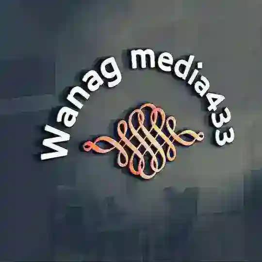 Wanag media433