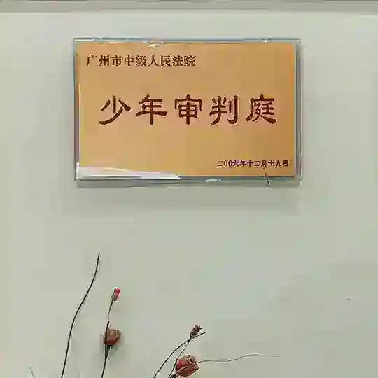 望左君岛