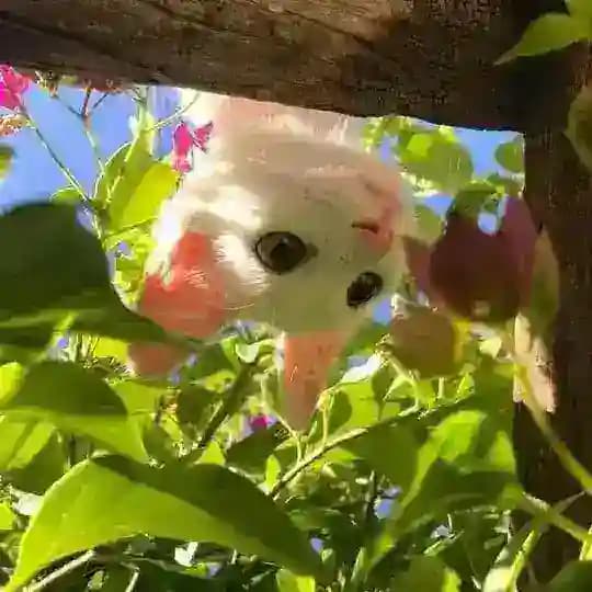 хочу