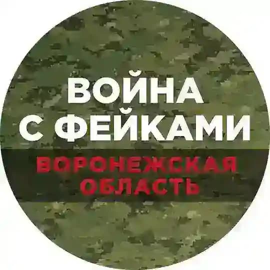 Война с фейками. Воронежская область