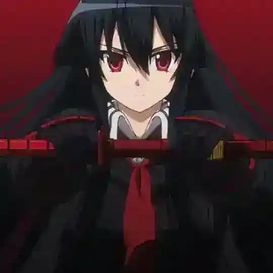 Akame ga Kill(2014) by Warkamouk