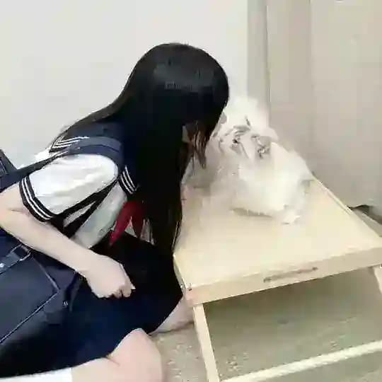 哇塞小萝莉（休）