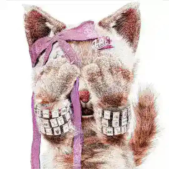sweetie clothes