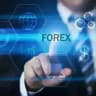 Large Wealth Forex Traders