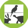 WebExoVet - Online school for Exotic Vets