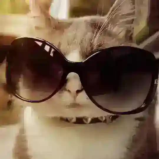 запрещенное