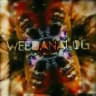 WEEDANALOG