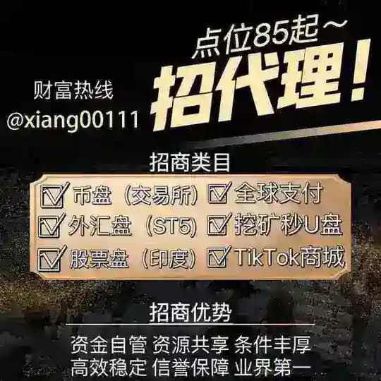外汇MT5—币盘—秒合约—外卖盘—TK商城—招商