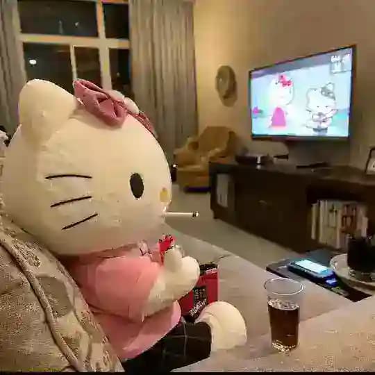 文静后花园
