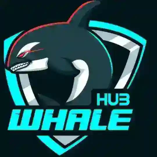 Whale Hub🐋🐋