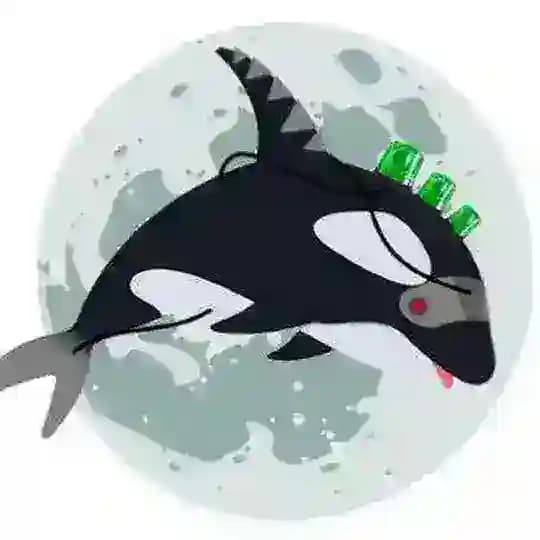 Whale Alert®