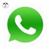 Whatsapp status