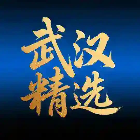 武汉资源精选