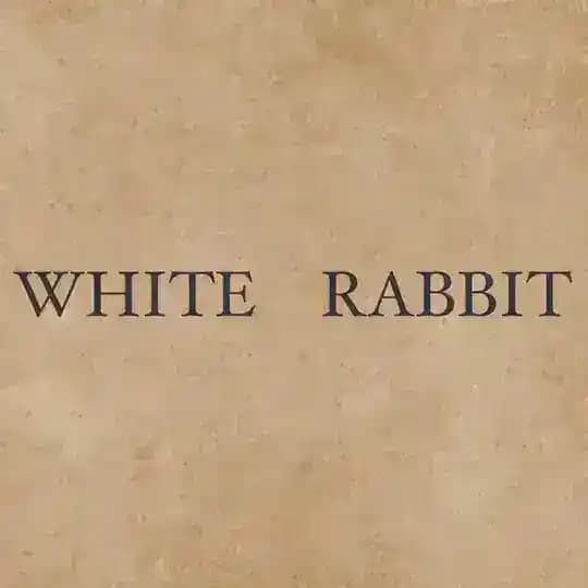White_rabbitt_01