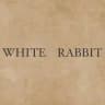 White_rabbitt_01