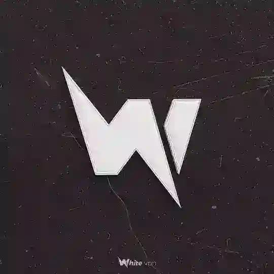 نمایندگی WHITE VPN