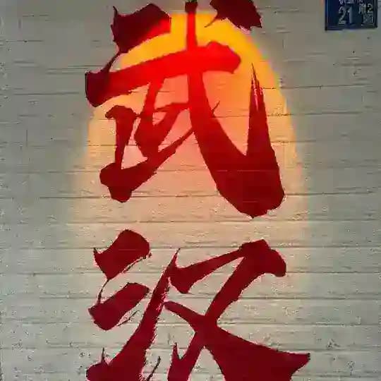 武汉/95/98养生半套全套