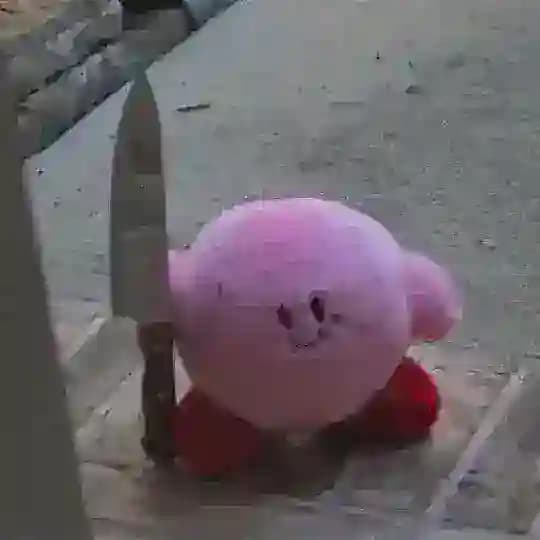 𝙬𝙞𝙡𝙙 𝙡𝙞𝙩𝙩𝙡𝙚🧸🔪