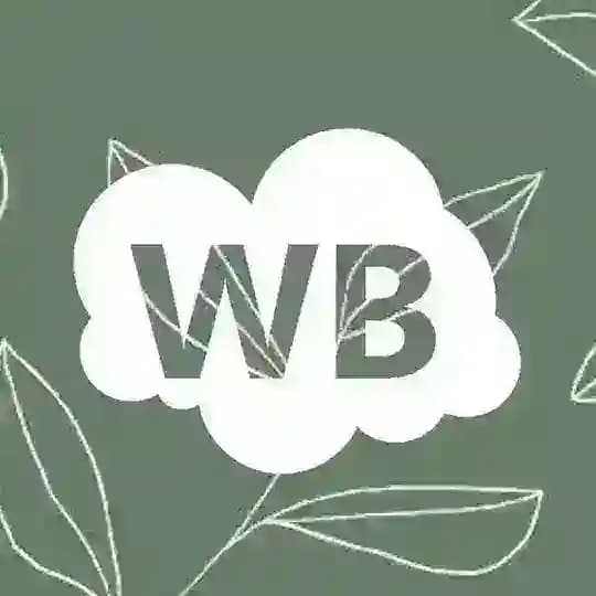 Находки WB