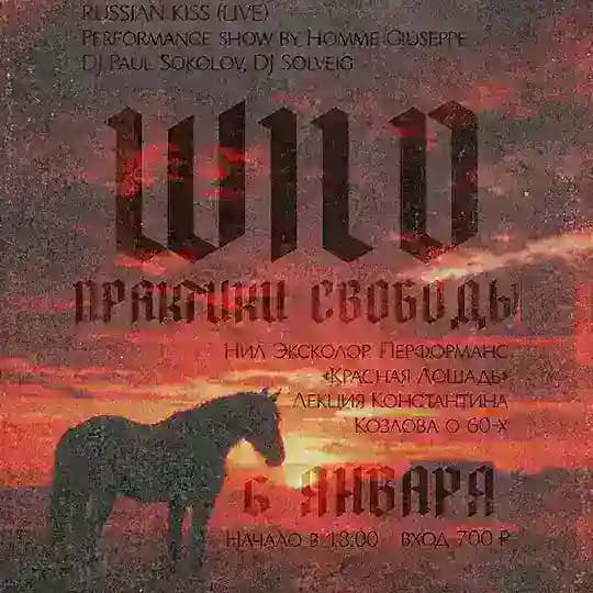 WILD ПРАКТИКИ СВОБОДЫ