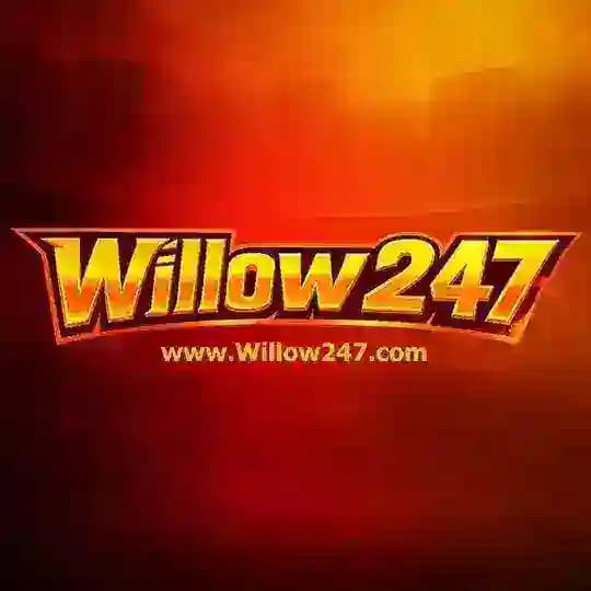 Willow247