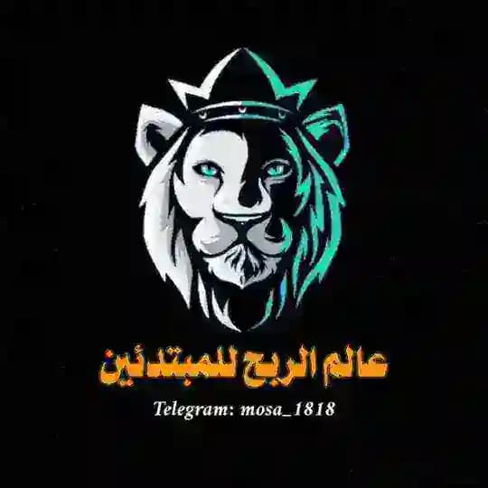 عالم الربح للمبتدئين