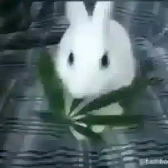 психоделик викьюр