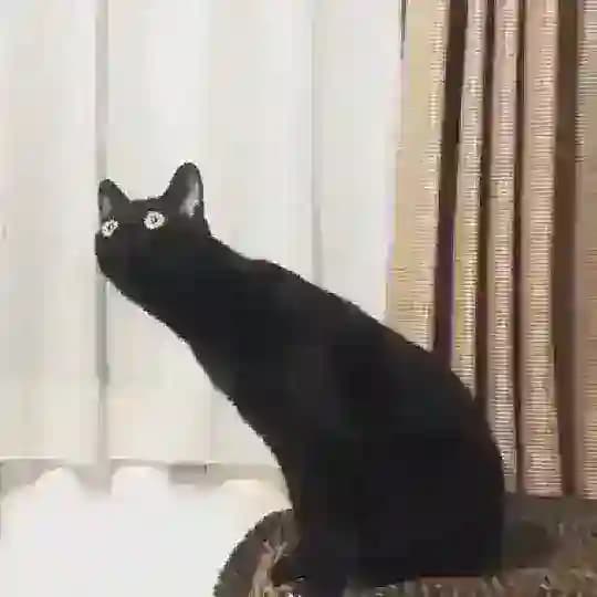 Дарина посмотрела