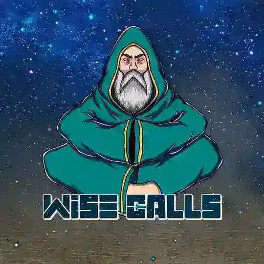 Wise Calls
