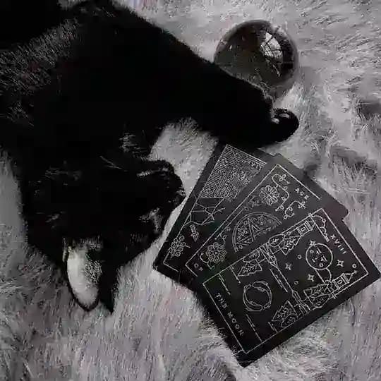 Witchcraft.ir 🦇