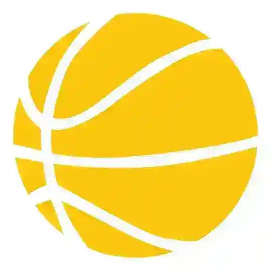 We Love Basketball