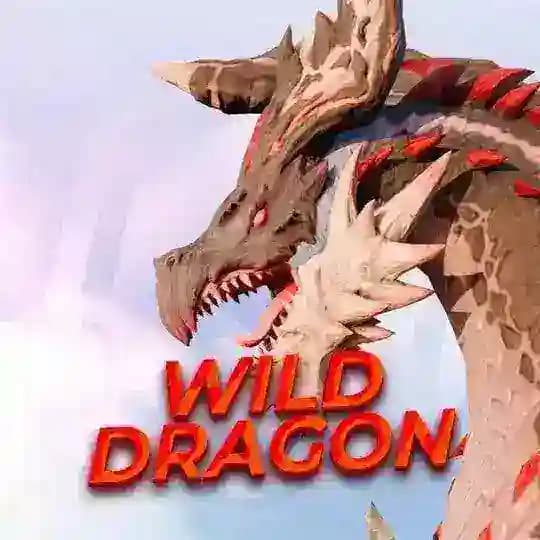 WILDDRAGON | Ценные находки