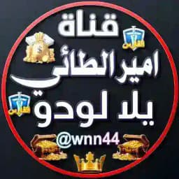 قناة امير الطائي يلا لودو Profile