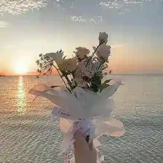 🦢 𝓌𝓃𝓈𝒾𝒾𝒶𝑒𝓇𝒶𝒽 𝓈𝒽𝑜𝓅 𐙚⋆.˚