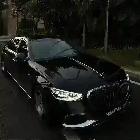 打狗