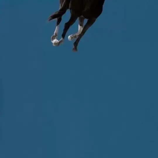 WOCKSTA🐎