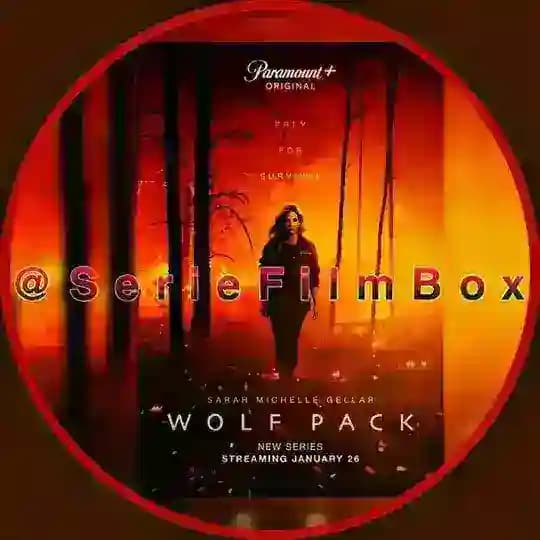 ๐ซ๐ท WOLF PACK VF FRENCH INTEGRALE SAISON 1 2